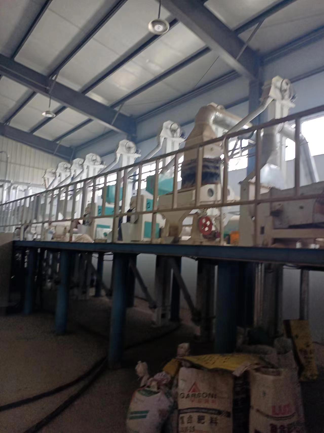 日產20噸小黃米碾米成套設備