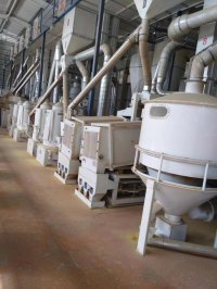 日產(chǎn)100噸小黃米(大黃米)碾米成套機組