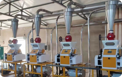 專用小麥粉生產(chǎn)技術(shù)（二）